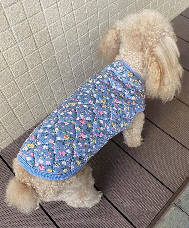 오기도기 (S-6XL) 강아지 대형견 할머니 김장조끼 레트로 촌캉스 조끼 반려동물