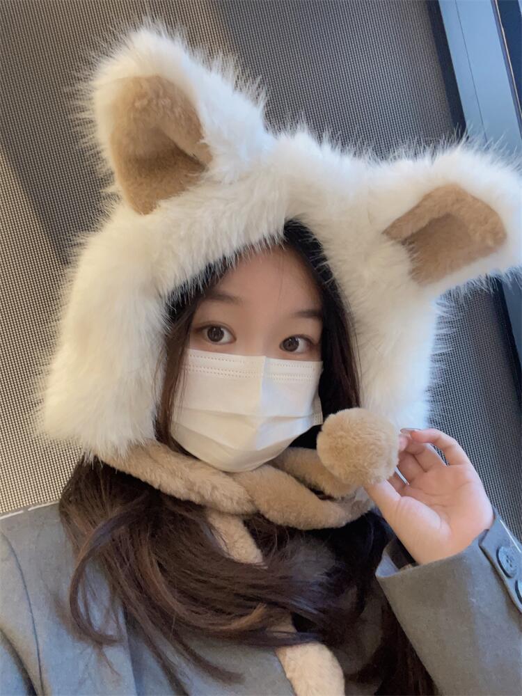 본문 이미지
