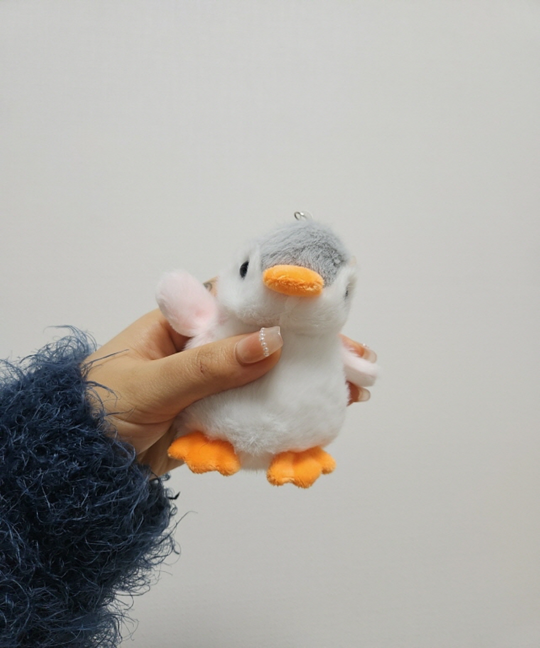 본문 이미지