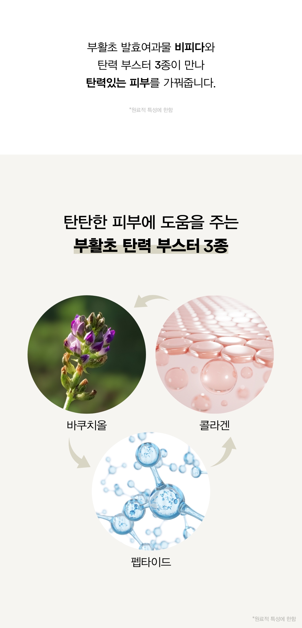 abib rebirth bifida firming serum korean